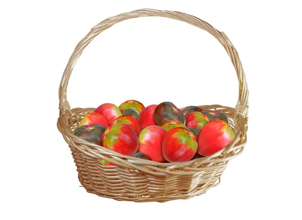 Mand met tomaten geïsoleerd op wit — Stockfoto