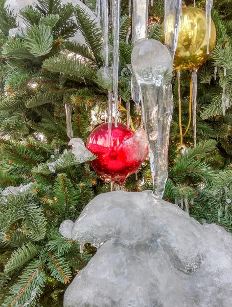 Árbol de Navidad y bola roja —  Fotos de Stock