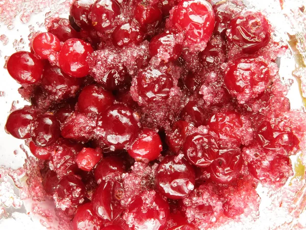 Sugared cranberries dessert — Stock Photo, Image