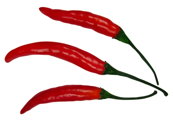 Chili peppers elszigetelt - piros — Stock Fotó
