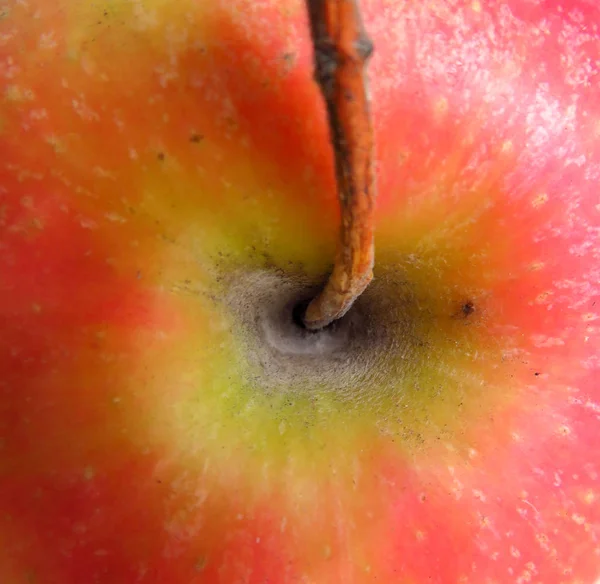 Roter saftiger Apfel — Stockfoto