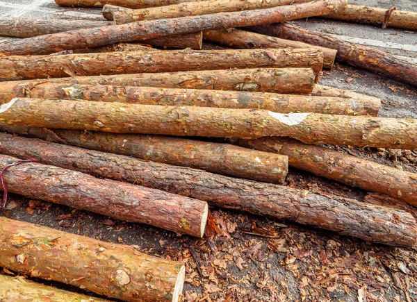 Dřevěné hranoly haldy — Stock fotografie
