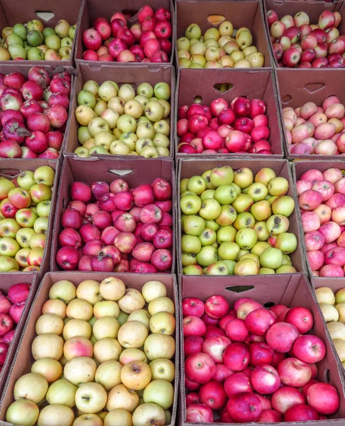 Maçãs frescas no mercado — Fotografia de Stock