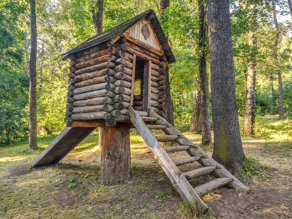 Fabulous house on a stump — Stock Photo, Image