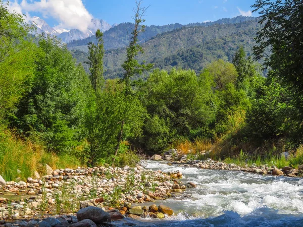 Dağ nehir Almatı — Stok fotoğraf