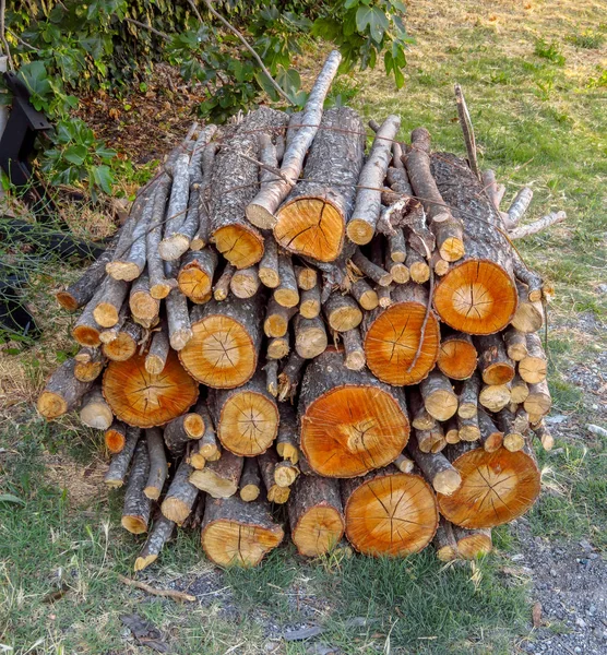 Sortiertes Bündel Brennholz — Stockfoto