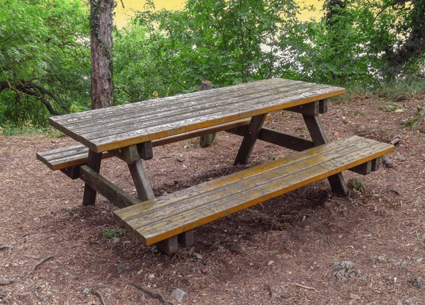 Tavolo in legno nella foresta — Foto Stock