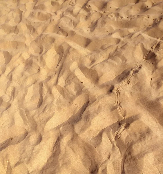 Sand bakgrund på stranden — Stockfoto