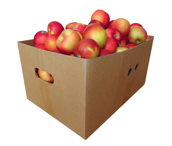 Jabłka w karton na białym tle — Zdjęcie stockowe