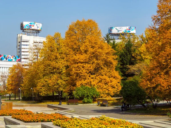 Алмати - золота осінь в місті — стокове фото