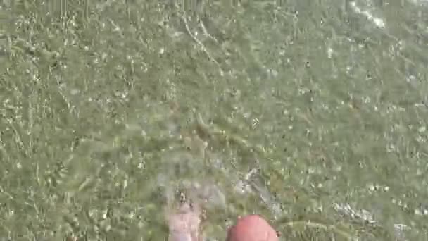 Nohy muže procházky podél moře — Stock video