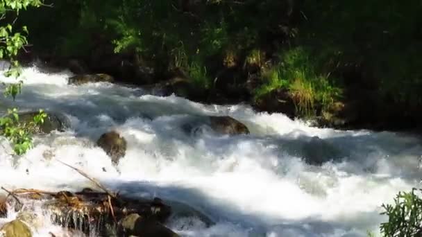 Horská řeka v Tian Shan — Stock video