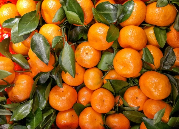 Background of mandarins — Stock Photo, Image