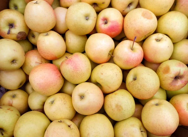 Fundo de maçãs amarelas — Fotografia de Stock