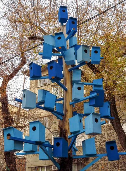 Casas de pássaro azuis em uma árvore — Fotografia de Stock