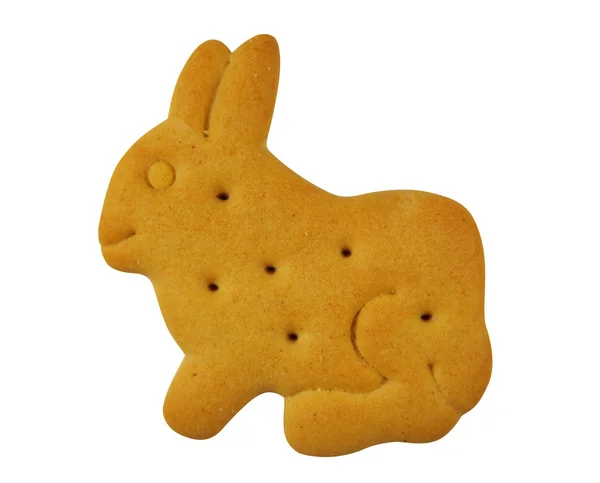 Biscotto a forma di animale - coniglio — Foto Stock