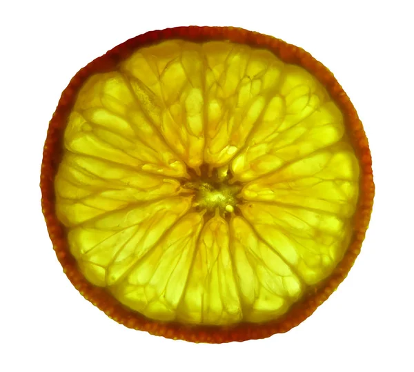 Kerek narancs szelet — Stock Fotó