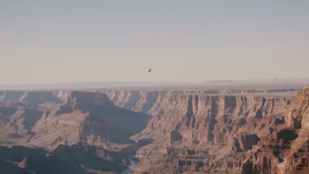 大鹰在宏伟的大峡谷国家公园的壮丽壮丽的阳光下飞过的惊人的全景背景照片 — 图库视频影像