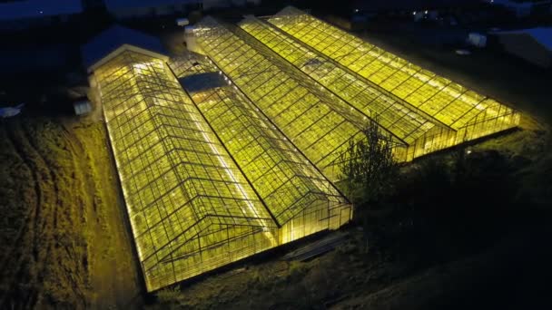 在漆黑的夜晚 这个有灯光的大温室的美丽的空中景观闪烁着生态农业的光芒 — 图库视频影像