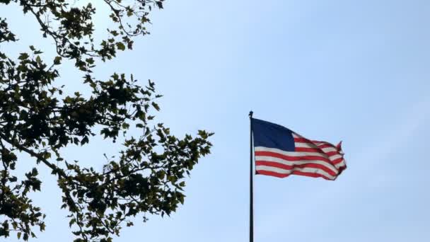 Low Angle View Flag United States America Waving Wind Green — Stock Video