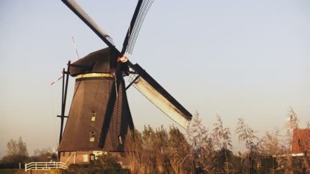 Tradicional Viejo Molino Viento Rústico Holandés Trabajo Molino Granja Histórico — Vídeos de Stock