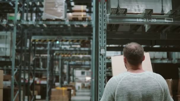 Man Taking Boxes Shelves Taking Them Goes Away Shelves Warehouse — Stock Video