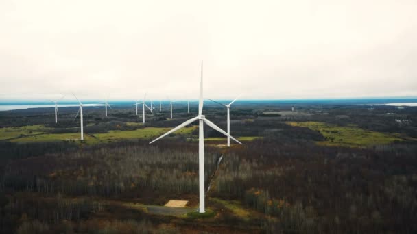 Дивовижний Вигляд Вітрової Турбіни Ферми Генерує Енергію Осінньому Лісовому Полі — стокове відео
