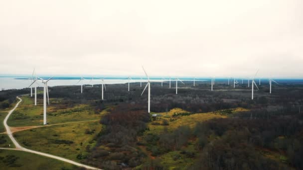 Piękna Panorama Tła Lotniczego Farmy Turbin Wiatrowych Pracujących Zielonej Leśnej — Wideo stockowe