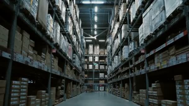 大型仓库拍摄的稳定镜头 该仓库有许多用于建筑或维修购物中心或有装饰材料的库存的货物 — 图库视频影像
