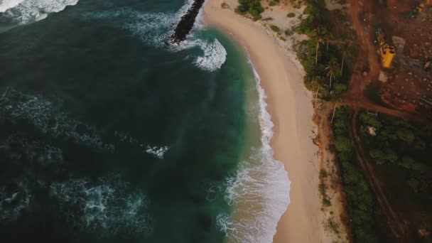 Antenn Fåglar Syn Vackra Skummande Havsvågor Når Stranden Sten Vågbrytare — Stockvideo