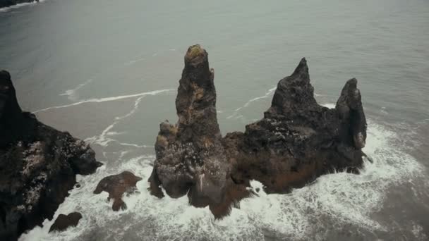 鸟瞰高山巨怪的脚趾头 岛上有海鸥筑巢在冰原上 在黑色海滩的悬崖峭壁上飞来飞去 — 图库视频影像