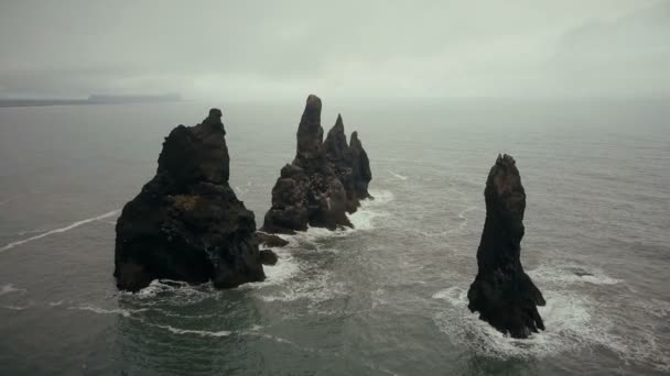 在冰原海鸥群中的海怪脚趾群在悬崖上筑巢的鸟瞰图 — 图库视频影像