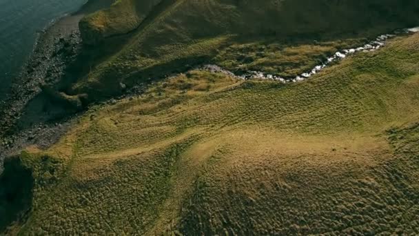 Flygfoto Över Vilda Bergen Floden Rinner Dalen Copter Flyger Över — Stockvideo