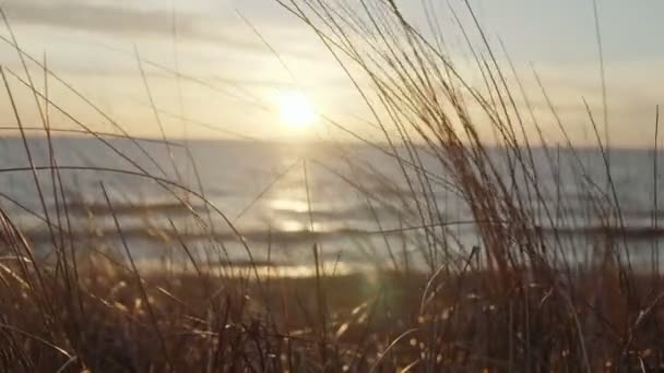 Παραλία Στο Ηλιοβασίλεμα Κύματα Γρασίδι Στον Άνεμο Στο Φόντο Της — Αρχείο Βίντεο