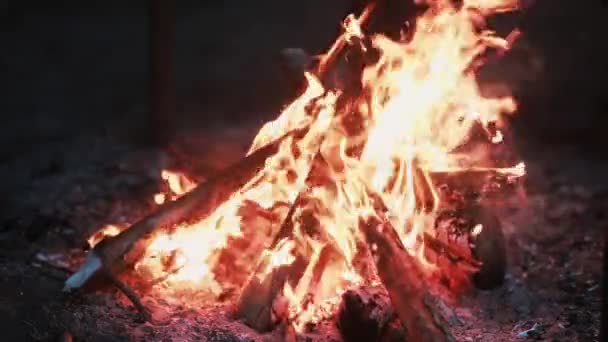 夜间露天壁炉燃烧木柴的美丽景色 — 图库视频影像