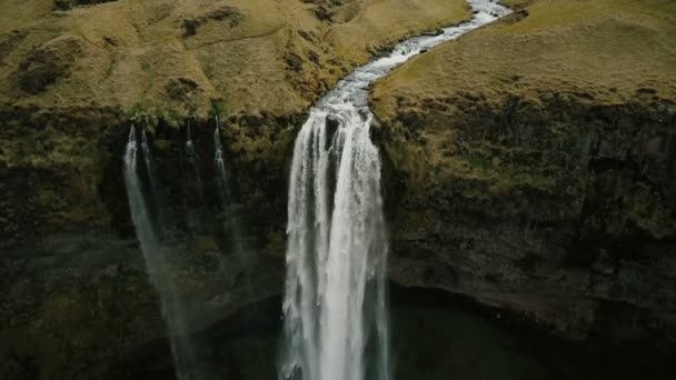 Beautiful View Valley Powerful River Flows Falls Aerial View Seljalandsfoss — ストック動画