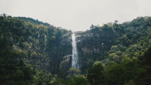 Beautiful Wide Shot Landscape Scenery Large Jungle Waterfall Rushing Wild — ストック動画