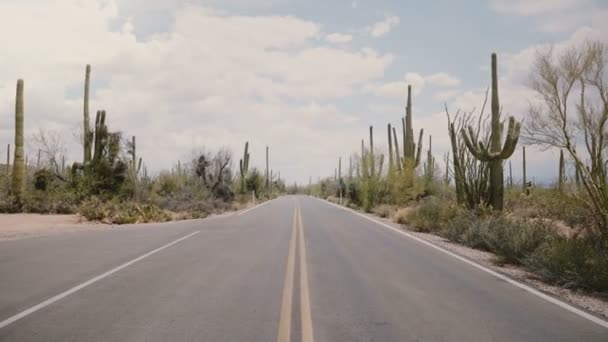 照相机迅速倾斜在空旷的沙漠路上 两边都长着巨大的仙人掌 — 图库视频影像