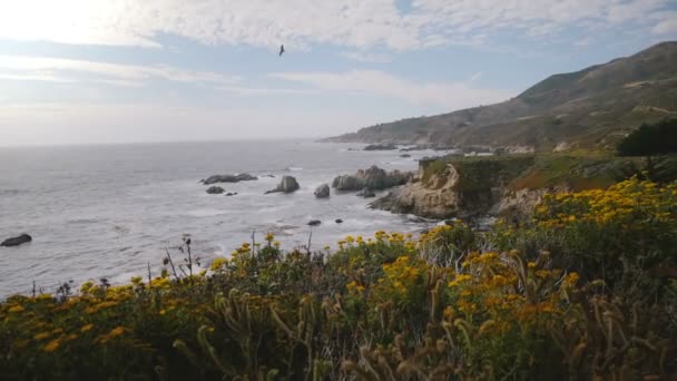 在美丽的大滨海海岸线上 照相机在美丽的海滩岩石和花朵上滑行 镜头正对着景色 — 图库视频影像