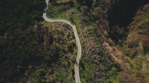 狭い山道上空をドローンが飛ぶ森のドライブウェイの上から車や建物を通過 — ストック動画