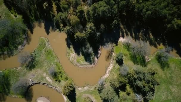 自然の生態系の問題の野生の森汚れた巻き川空中4Kのフライオーバーショットを飛んで無人機環境問題 — ストック動画