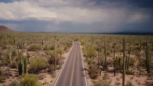 Drone Vliegen Boven Prachtige Lege Woestijn Weg Grote Saguaro Cactus — Stockvideo