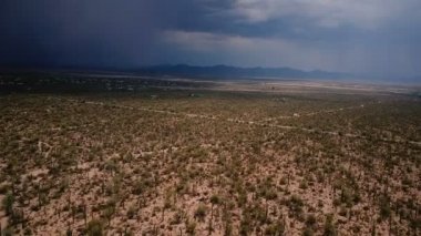 Yaz Arizona Milli Park'ta ABD içinde geliyor doğal kum fırtınası ile epik kaktüs çöl alanının üstündeki uçan yüksek hava