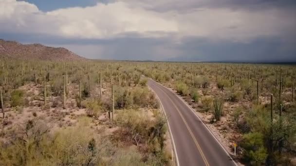 Drone Flying Beautiful Winding Desert Road Middle Large Cactus Field — Stock Video