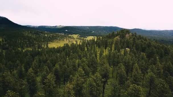Drone Latanie Przodu Nad Wielkiego Drzewa Pokryte Wzgórza Odsłaniając Niesamowite — Wideo stockowe