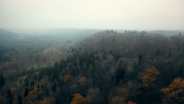 Drón Repül Magasan Buja Őszi Köd Erdő Gyönyörű Nemzeti Park — Stock videók