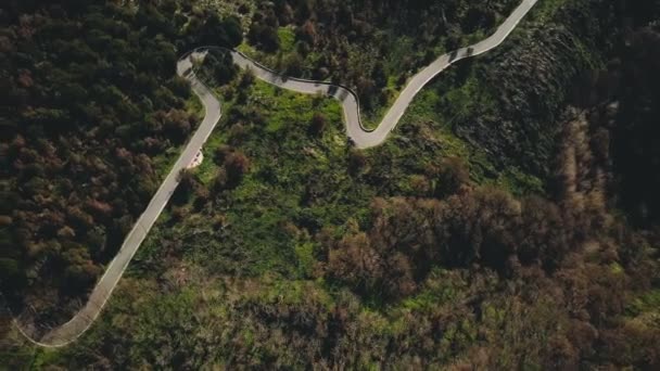 無人機が見事な山道を飛んで平和的な森の木と蛇紋岩の道路の空中トップビューショット — ストック動画