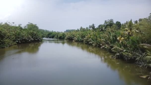 Drone Voando Sobre Incrível Grande Rio Calmo Fluindo Selva Floresta — Vídeo de Stock