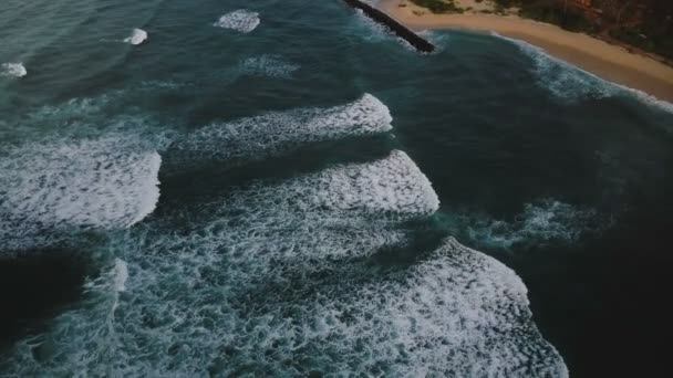 Destansı Köpüklü Dalgaların Üzerinden Uçan Okyanus Kıyısına Ulaşıyor Mavi Okyanus — Stok video