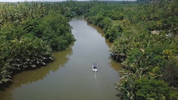 无人驾驶飞机沿着美丽的丛林中河流倾斜而下 带着阳光反射在荒野中航行 — 图库视频影像